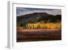 Autumn view of willows and aspen groves, Grand Teton National Park.-Adam Jones-Framed Photographic Print