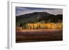 Autumn view of willows and aspen groves, Grand Teton National Park.-Adam Jones-Framed Photographic Print