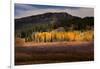 Autumn view of willows and aspen groves, Grand Teton National Park.-Adam Jones-Framed Photographic Print