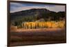 Autumn view of willows and aspen groves, Grand Teton National Park.-Adam Jones-Framed Photographic Print