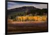 Autumn view of willows and aspen groves, Grand Teton National Park.-Adam Jones-Framed Photographic Print