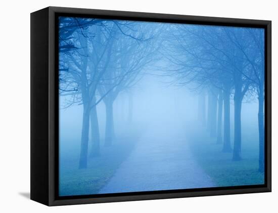 Autumn View-Craig Roberts-Framed Stretched Canvas