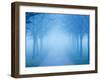 Autumn View-Craig Roberts-Framed Photographic Print