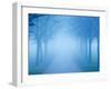 Autumn View-Craig Roberts-Framed Photographic Print