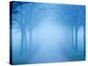 Autumn View-Craig Roberts-Stretched Canvas