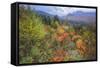 Autumn Viewpoint, White Mountains, New Hampshire-Vincent James-Framed Stretched Canvas