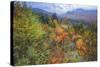 Autumn Viewpoint, White Mountains, New Hampshire-Vincent James-Stretched Canvas