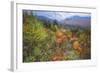 Autumn Viewpoint, White Mountains, New Hampshire-Vincent James-Framed Photographic Print