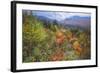 Autumn Viewpoint, White Mountains, New Hampshire-Vincent James-Framed Photographic Print