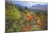 Autumn Viewpoint, White Mountains, New Hampshire-Vincent James-Mounted Photographic Print