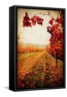 Autumn Vines-Jessica Rogers-Framed Stretched Canvas