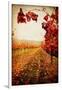 Autumn Vines-Jessica Rogers-Framed Giclee Print