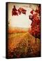 Autumn Vines-Jessica Rogers-Framed Stretched Canvas