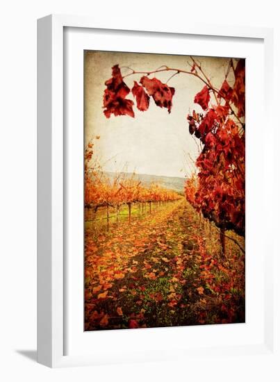 Autumn Vines-Jessica Rogers-Framed Giclee Print