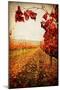 Autumn Vines-Jessica Rogers-Mounted Giclee Print