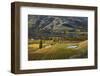 Autumn Vineyard colors, Bannockburn, Central Otago, South Island, New Zealand-David Wall-Framed Photographic Print