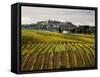 Autumn Vineyards in Full Color near Montepulciano-Terry Eggers-Framed Stretched Canvas