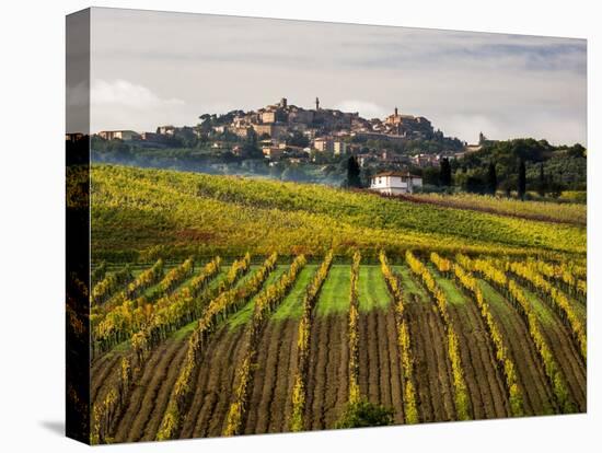 Autumn Vineyards in Full Color near Montepulciano-Terry Eggers-Stretched Canvas