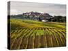 Autumn Vineyards in Full Color near Montepulciano-Terry Eggers-Stretched Canvas