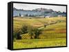 Autumn Vineyards in Full Color near Montepulciano-Terry Eggers-Framed Stretched Canvas