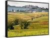 Autumn Vineyards in Full Color near Montepulciano-Terry Eggers-Framed Stretched Canvas