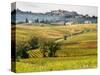 Autumn Vineyards in Full Color near Montepulciano-Terry Eggers-Stretched Canvas