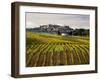 Autumn Vineyards in Full Color near Montepulciano-Terry Eggers-Framed Photographic Print