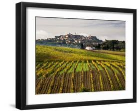 Autumn Vineyards in Full Color near Montepulciano-Terry Eggers-Framed Photographic Print