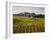 Autumn Vineyards in Full Color near Montepulciano-Terry Eggers-Framed Photographic Print