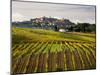 Autumn Vineyards in Full Color near Montepulciano-Terry Eggers-Mounted Photographic Print