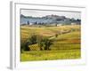 Autumn Vineyards in Full Color near Montepulciano-Terry Eggers-Framed Photographic Print