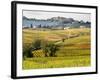 Autumn Vineyards in Full Color near Montepulciano-Terry Eggers-Framed Photographic Print