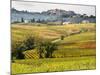 Autumn Vineyards in Full Color near Montepulciano-Terry Eggers-Mounted Photographic Print