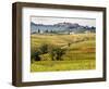 Autumn Vineyards in Full Color near Montepulciano-Terry Eggers-Framed Photographic Print