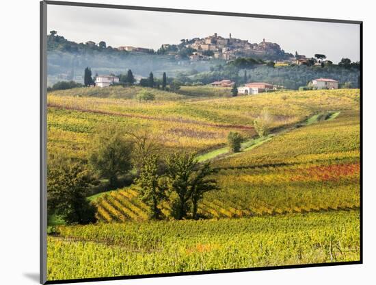 Autumn Vineyards in Full Color near Montepulciano-Terry Eggers-Mounted Photographic Print