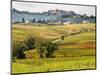 Autumn Vineyards in Full Color near Montepulciano-Terry Eggers-Mounted Photographic Print