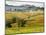 Autumn Vineyards in Full Color near Montepulciano-Terry Eggers-Mounted Photographic Print