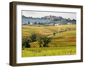 Autumn Vineyards in Full Color near Montepulciano-Terry Eggers-Framed Photographic Print