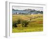 Autumn Vineyards in Full Color near Montepulciano-Terry Eggers-Framed Photographic Print