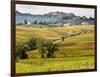 Autumn Vineyards in Full Color near Montepulciano-Terry Eggers-Framed Photographic Print