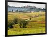 Autumn Vineyards in Full Color near Montepulciano-Terry Eggers-Framed Photographic Print