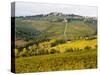 Autumn Vineyards with Bright Color near Panzano-Terry Eggers-Stretched Canvas