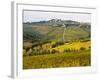 Autumn Vineyards with Bright Color near Panzano-Terry Eggers-Framed Photographic Print