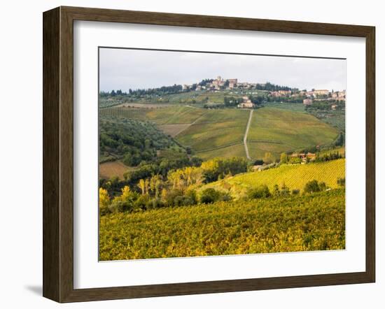 Autumn Vineyards with Bright Color near Panzano-Terry Eggers-Framed Photographic Print