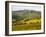 Autumn Vineyards with Bright Color near Panzano-Terry Eggers-Framed Photographic Print