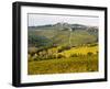 Autumn Vineyards with Bright Color near Panzano-Terry Eggers-Framed Photographic Print