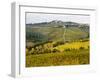 Autumn Vineyards with Bright Color near Panzano-Terry Eggers-Framed Photographic Print