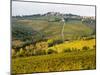 Autumn Vineyards with Bright Color near Panzano-Terry Eggers-Mounted Photographic Print