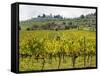 Autumn Vineyards with Bright Color with Villa at on Hill-Terry Eggers-Framed Stretched Canvas