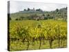 Autumn Vineyards with Bright Color with Villa at on Hill-Terry Eggers-Stretched Canvas